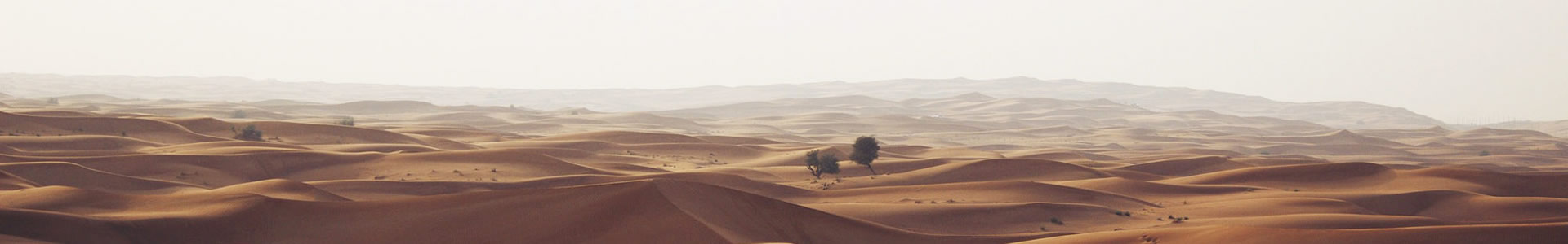 人ԶƼչ޹˾